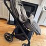 Buggy Image 2