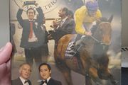 Sea The Stars The Horse of a Lifetime DVD Box Set