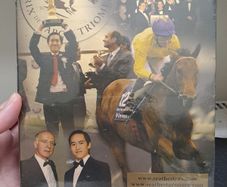 Sea The Stars The Horse of a Lifetime DVD Box Set