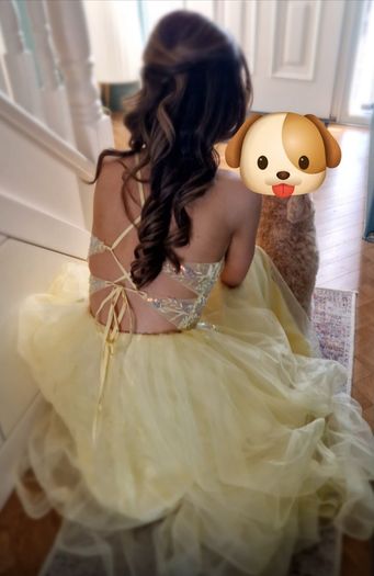 Debs TY Ball Dress