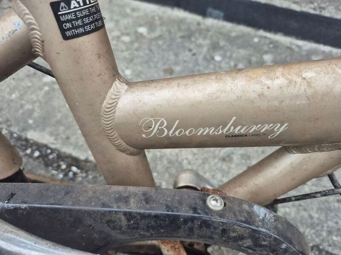 Folding Bicycle   - Read Description