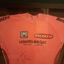 Stephan Roche jersey Image 3