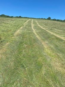 Organic hay