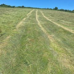 Organic hay