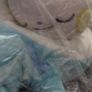 Pokemon Pachirisu 23cm Plush Toy Image 3