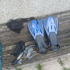 Snorkel
