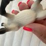 2013 Schleich White Arabian Mare approx 4" Horse Pink Braids D-73527 Used Please see pictures Image 8