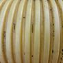 8.5M plastic land drainage pipe Image 4