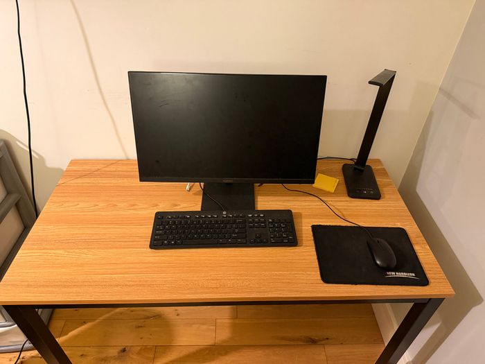 computer monitor