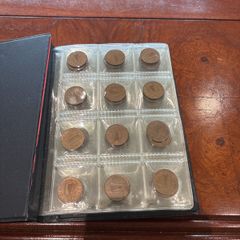 Ireland 1 p coins mix booklet 116 coins