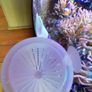 Fish Feeder Image 3