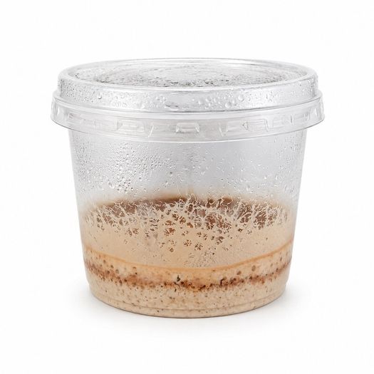 Microworms Panagrellus redivivus - Starter Culture approx. 10 ml