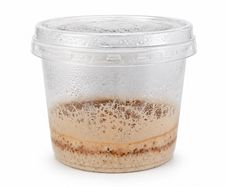 Microworms Panagrellus redivivus - Starter Culture approx. 10 ml