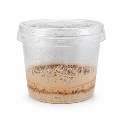 Microworms Panagrellus redivivus - Starter Culture approx. 10 ml