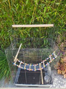 Bird cages