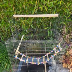 Bird cages