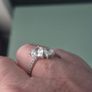 Pandora Double heart ring Size 54 Image 2