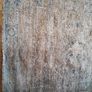 Home Collection Rug (26270) Image 3
