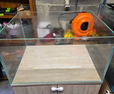150l aquarium