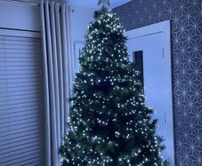 8ft Nebraska Christmas Tree Excellent Condition