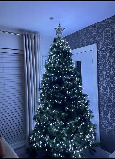 8ft Nebraska Christmas Tree Excellent Condition