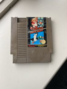 Nintendo Entertainment System (NES)