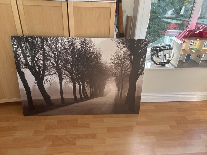 canvass forest picture