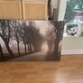 canvass forest picture Image 2