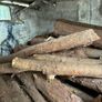 Firewood/wood Image 2