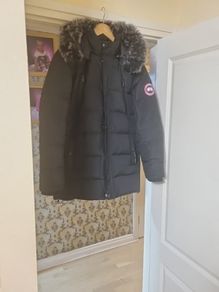 canada goose