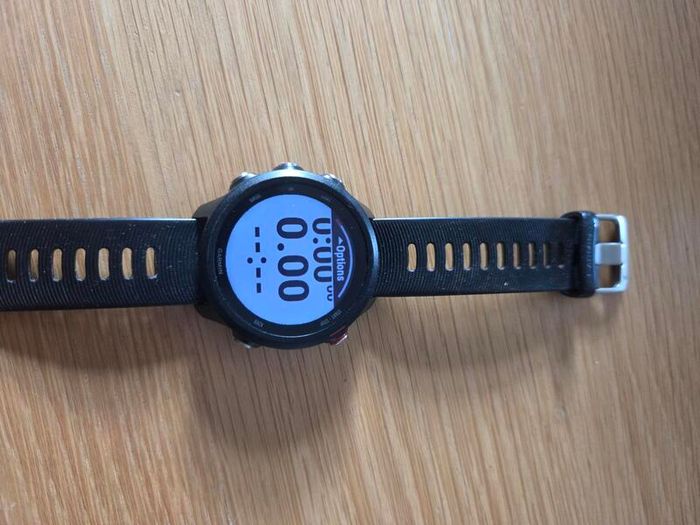 Garmin Forerunner 245 Music