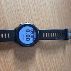 Garmin Forerunner 245 Music