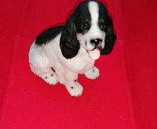 Spaniel Figurine (Leonardo Collection)