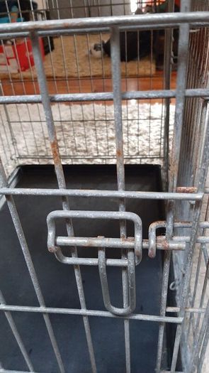 dog cage, dog plastic bed