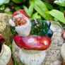 Leprechaun plant watering stakes Image 2