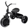 QPlay Elite Pro 2-in-1 Trike with Push Bar Black Image 2