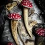 Irish Deer Antler and Amanita Muscaria Mushroom Plant Decoration Image 3