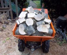 Premium Firewood