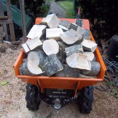 Premium Firewood