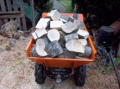 Premium Firewood