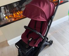 Bugaboo butterfly