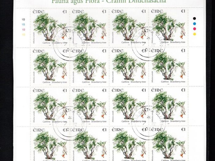 2006 Ireland Fauna & Flora Native Trees Commemorative Stamp Sheetlet 48c & 60c Plate 1A1A1A1A and 75c & E1 Plate 1B1B1B1B Fine CDS Used with Dublin cancel of 25th October 2007 (First day of issue)