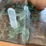 Vivarium Image 5