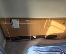 Shower door