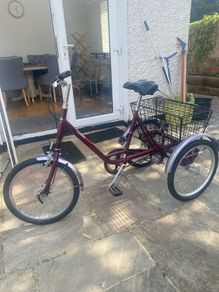 adult tricycle