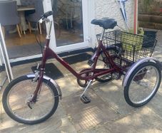 adult tricycle