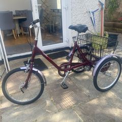 adult tricycle