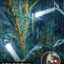 Icicle Lights Outdoor Christmas 2000 LED 60M Cool White Decorations String Fairy Lights with Timer for Xmas Garden & Party | Mains Powered Clear Cable Image 4