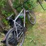 raleigh bike Image 4