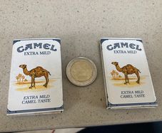 Camel Matches 2